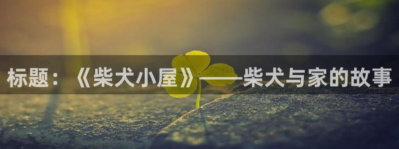 3 d同人动漫：标题：《柴犬小屋》——柴犬与家的故事
